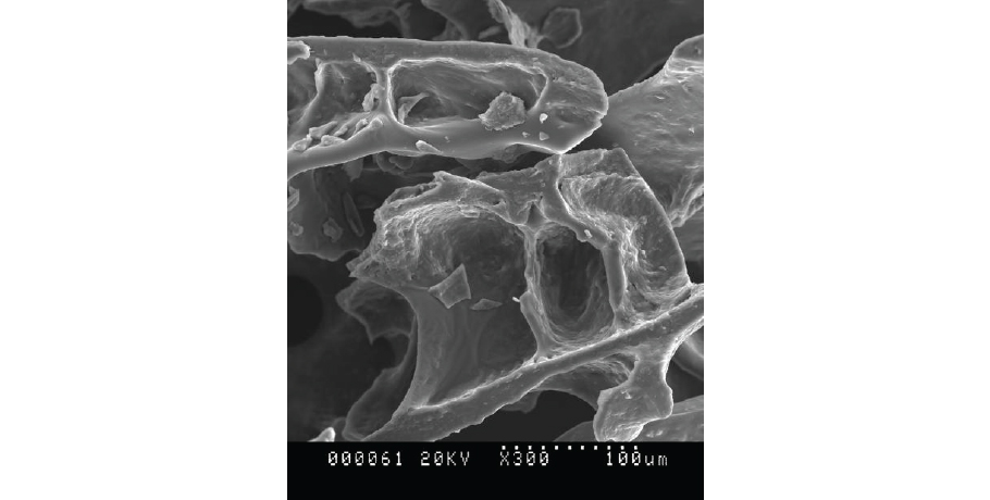 El método Freeze drying o liofilización consiste en congelar rápidamente el puré